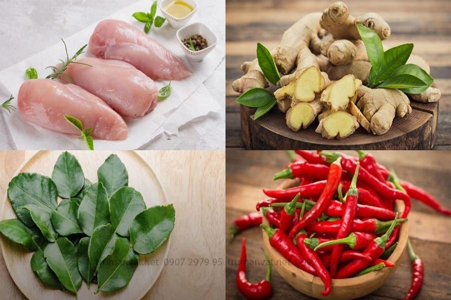 Nguyên liệu chuẩn bị để làm khô gà lá chanh